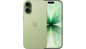 Смартфон Apple iPhone 17 512GB Зеленый (SIM+eSIM) (без RuStore)