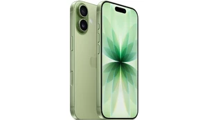 Смартфон Apple iPhone 17 512GB Зеленый (SIM+eSIM) (без RuStore)